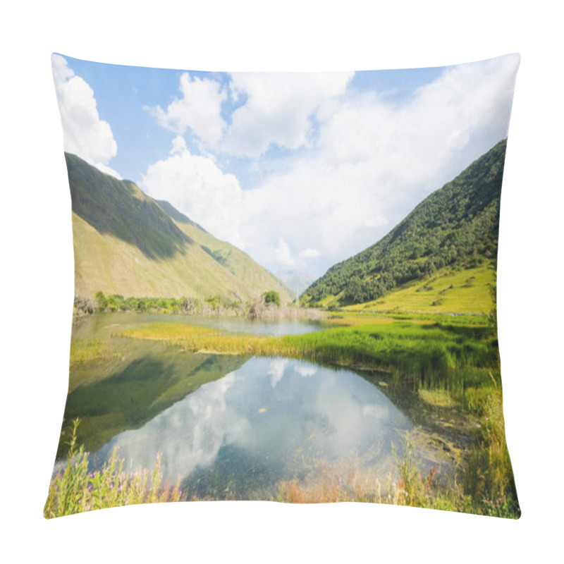 Personality  Swamp View, Nature Background, Travel Destination In Georgia. Pound And Swamp. Pillow Covers