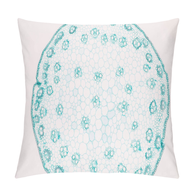 Personality  The Study Of Plant Tissues Under The Microscope In The Laboratory. Pillow Covers