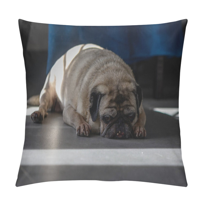 Personality  A Cozy Pug Lounges Peacefully On The Cool Floor, Basking In Soft Sunlight That Filters Through Nearby Furniture, Creating A Tranquil Atmosphere. Pillow Covers