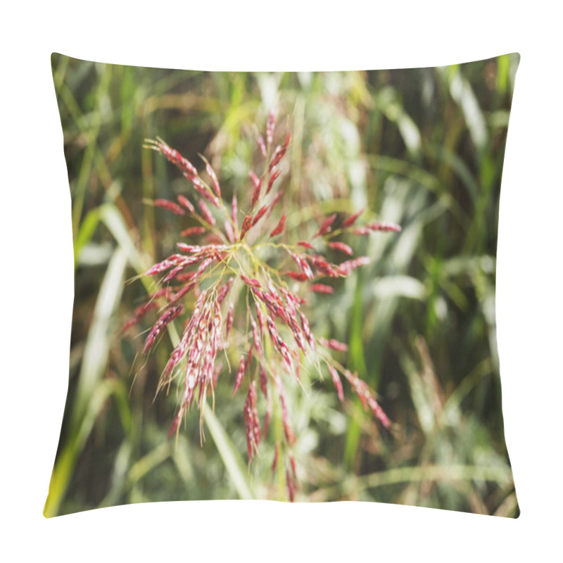 Personality   Johnsongrass ,sorghum Pillow Covers