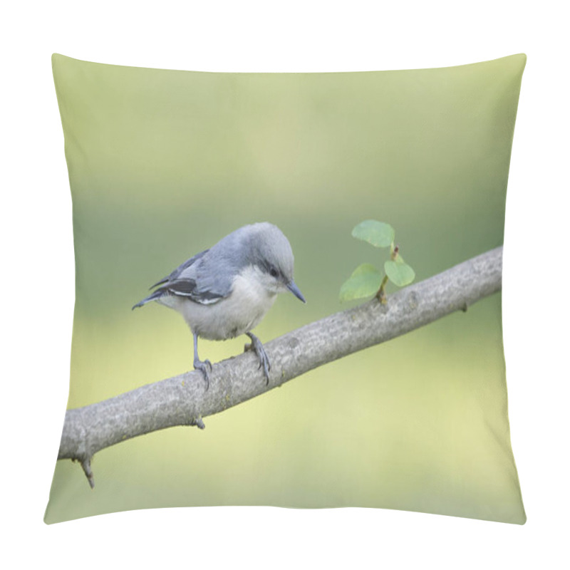 Personality  A Cute Pygmy Nuthatch Is Perched On A Branch In North Idaho. Pillow Covers