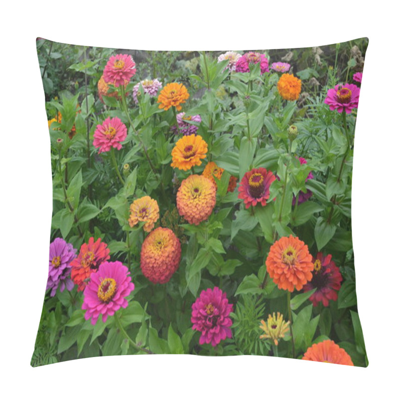 Personality  Zinnia, A Genus Of Annual And Perennial Grasses And Dwarf Shrubs Of The Asteraceae Family. Flower Zinnia. Gardening. Red Flowers Pillow Covers