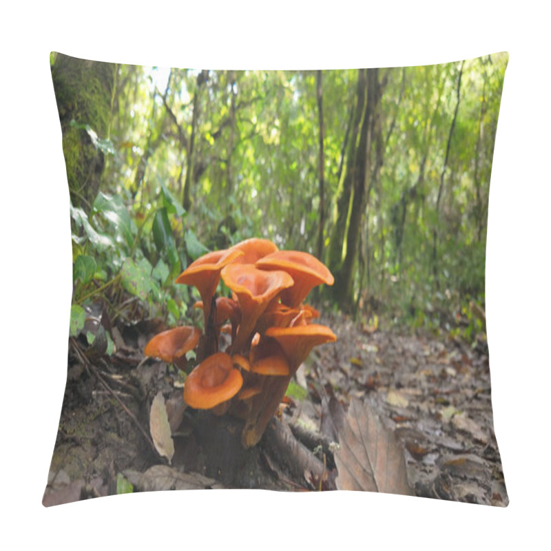 Personality  Vibrant Orange Mushrooms Growing In Clusters On Forest Floor Amid Fallen Autumn Leaves And Green Undergrowth, Creating A Striking Natural Display In Woodland At Rio De Mouros Pathway In Condeixa, Coimbra Portugal. Pillow Covers