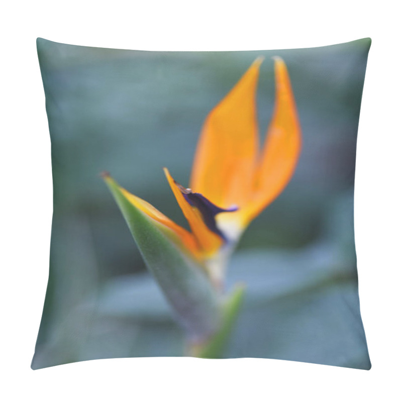 Personality  Close View Of Vibrant Tropic Flower Bird-of-paradise Pillow Covers