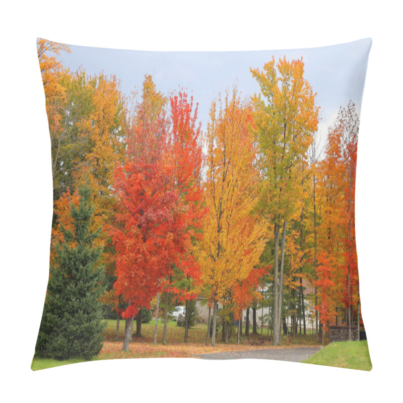 Personality  North American Fall Landscape Path Road In Eastern Township Quebec Province Canada Pillow Covers