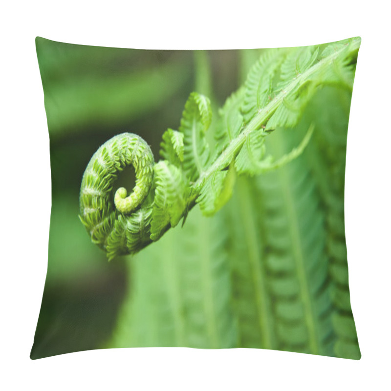 Personality  Young Fern Leaf Pillow Covers