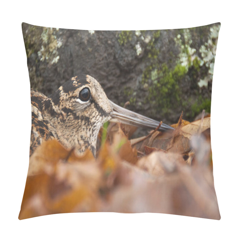 Personality  Eurasian Woodcock, Scolopax Rusticola, Camouflaged Among The Leaves In Autumn Pillow Covers