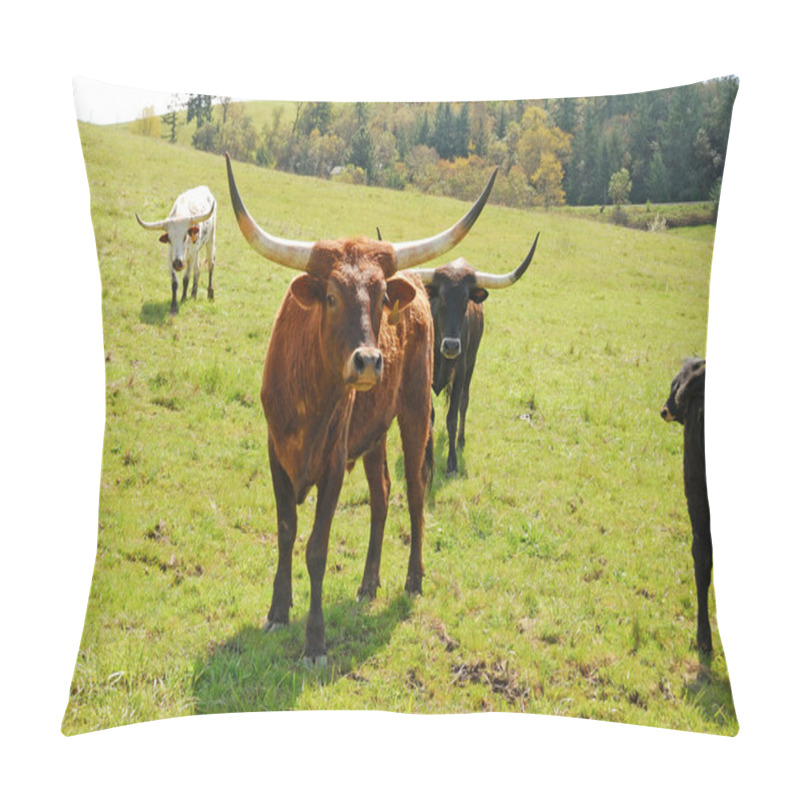 Personality  Longhorn Pillow Covers