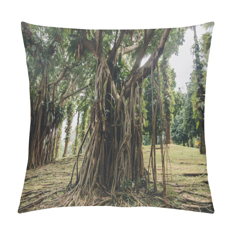 Personality  Trees Pillow Covers