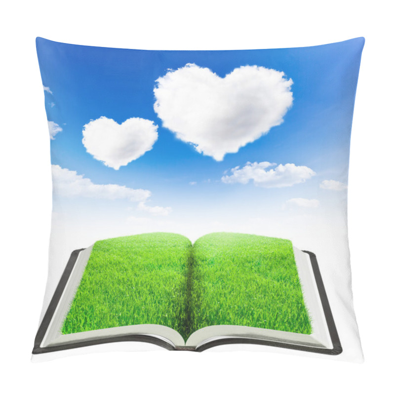 Personality  Book Pillow Covers