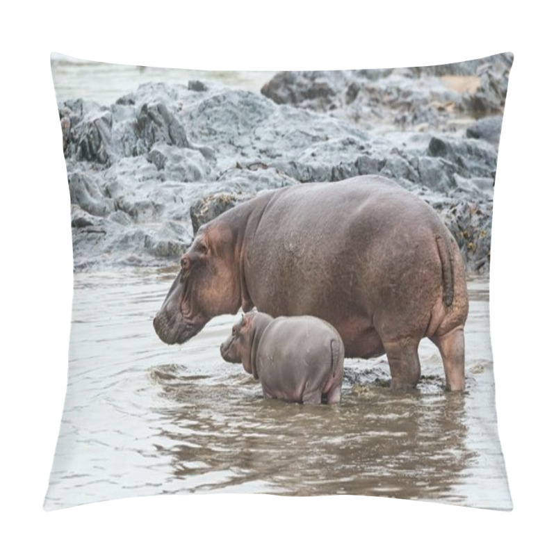 Personality  Hippopotamus (Hippopotamus Amphibius) Adult Female With Young, Serengeti, Tanzania, Africa Pillow Covers