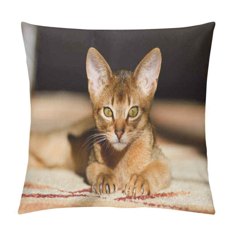 Personality  Young Abyssinian Cat In Action Pillow Covers