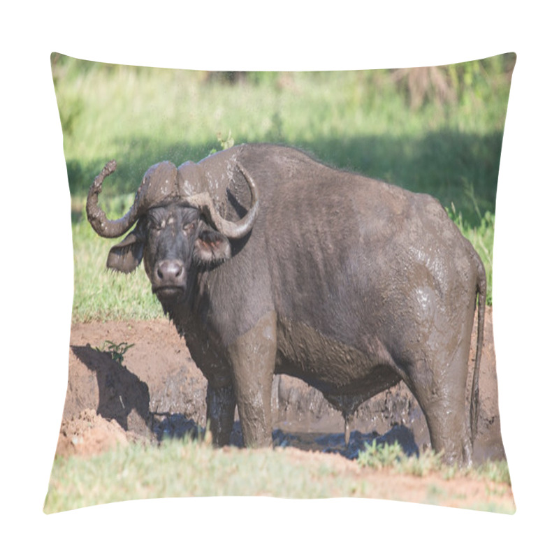 Personality  Cape Buffalo Mud Play In Mud To Cool Down Protect From Insects Pillow Covers