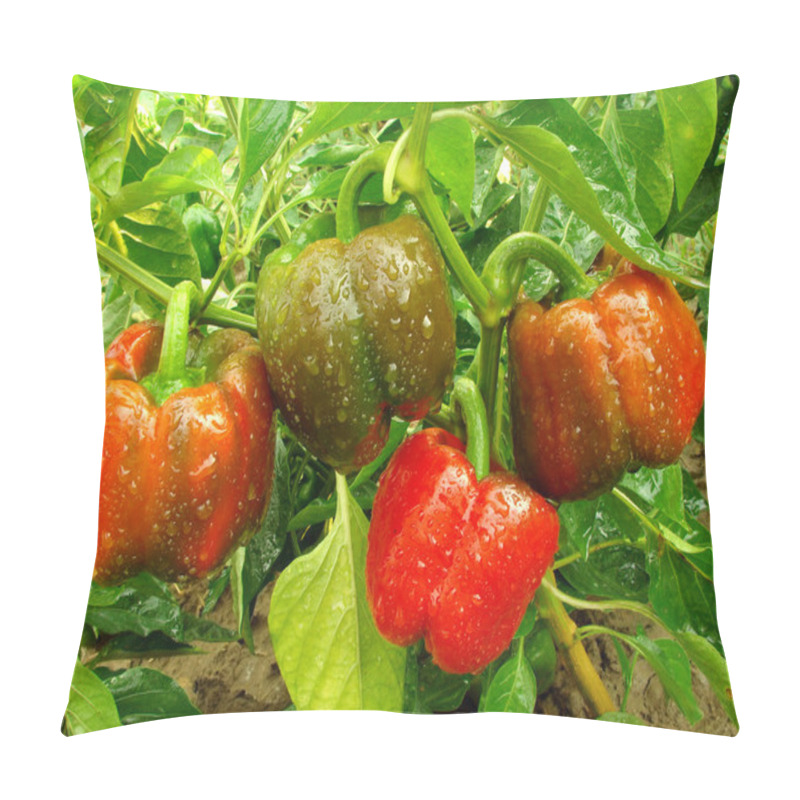 Personality  Bell Pepper Plant Pillow Covers