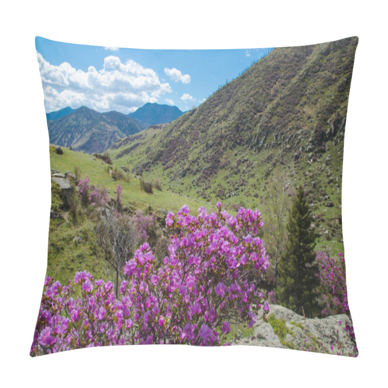 Personality  Flowering RhododendronLedebour Close Up On Sky Background. Pink Spring Flowers Of The Western Siberia. Altai Mountains. Maralnik, Ledum Pillow Covers