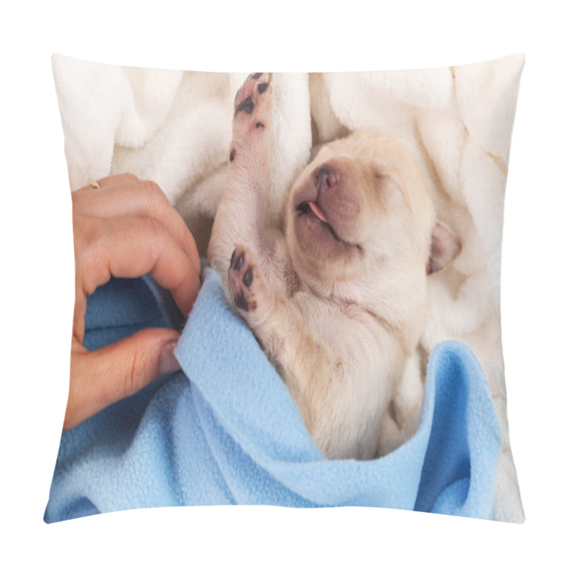 Personality  Newborn Labrador Puppy Dog Sleeping - Woman Hand Adjust Blanket, Closeup Pillow Covers