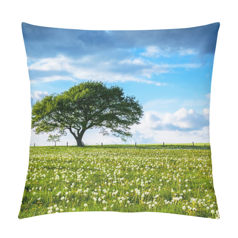 Personality  Oak Tree Old Eifel Clouds Hiking National Park Nrw Landscape Foliage Pillow Covers