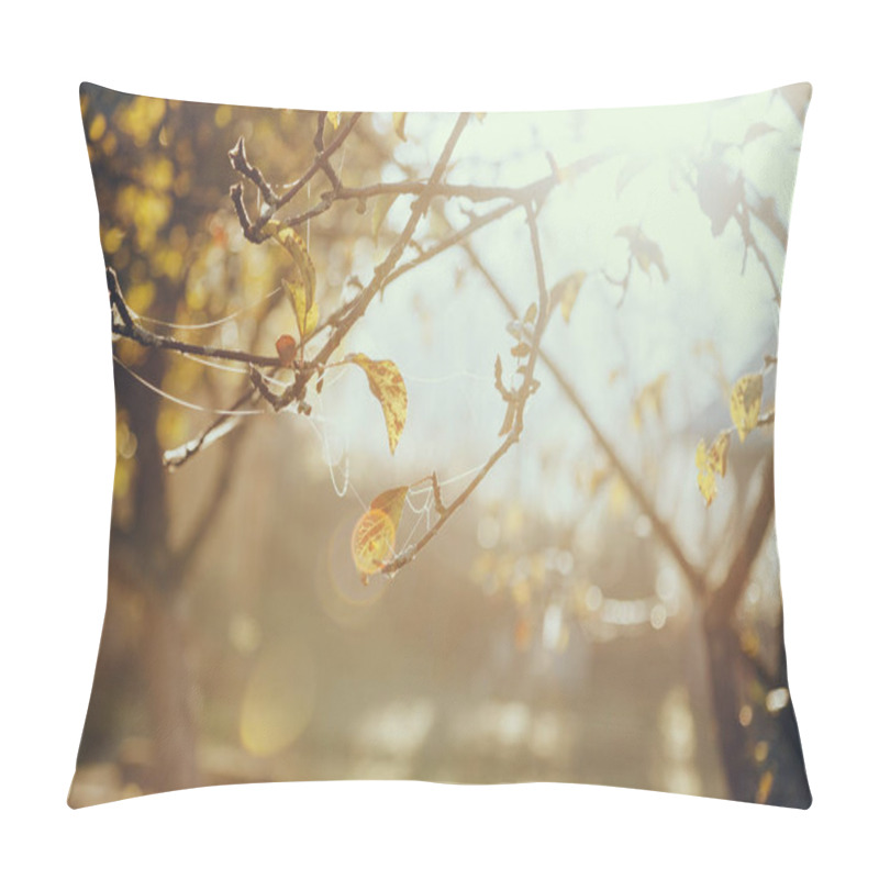 Personality  Close-up Shot Of Spider Web On Tree Branch With Golden Leaves In Front Of Shining Sun Pillow Covers