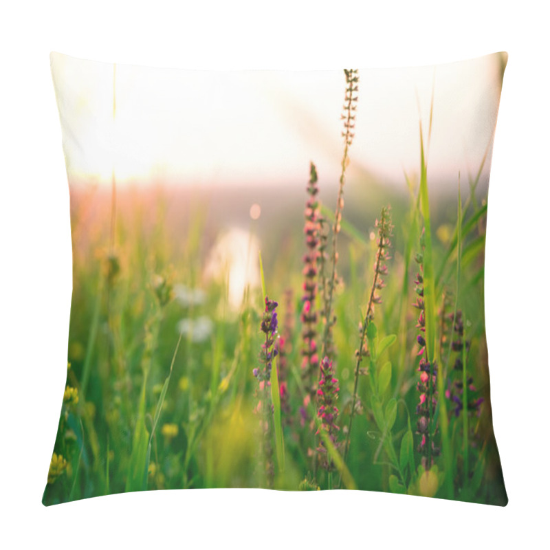 Personality  Beautiful Green Meadow At Sunrise Pillow Covers