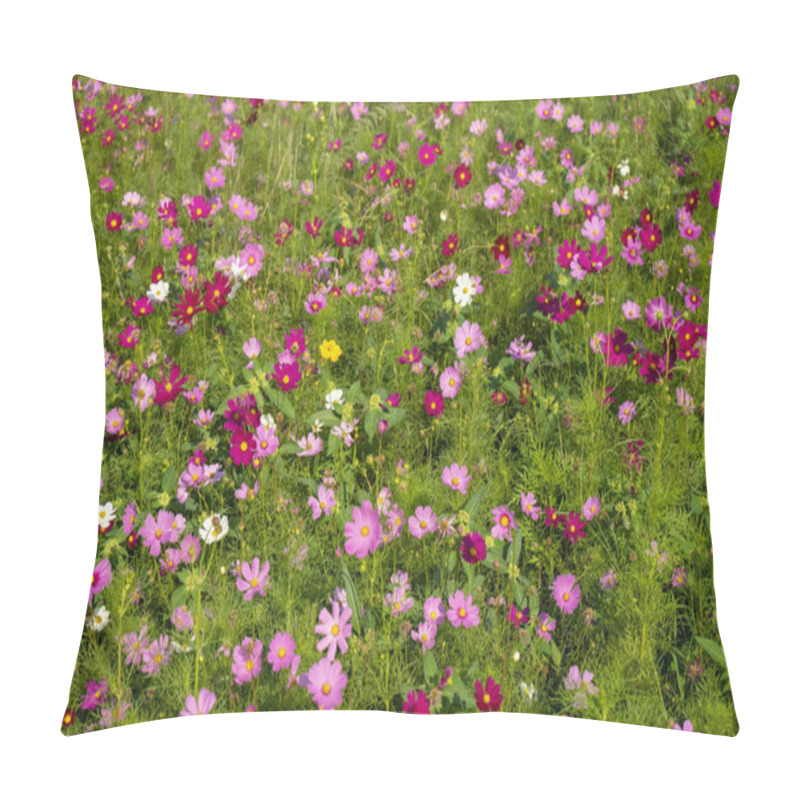 Personality  Japanese Cosmos Flowers Pillow Covers