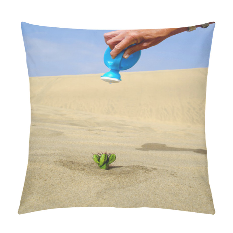 Personality  Watering A Cactus Pillow Covers