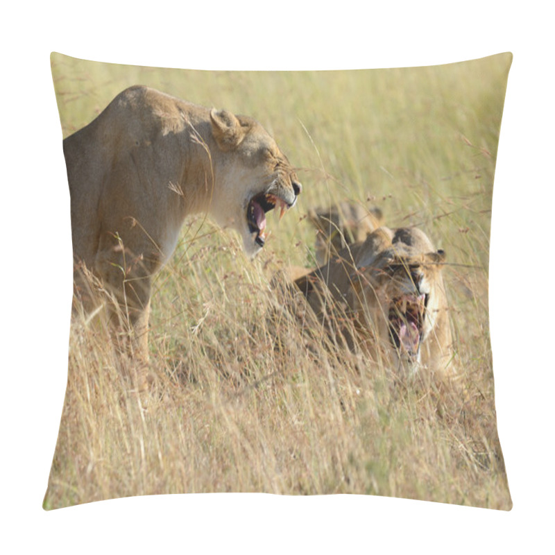 Personality  Lion In National Park Of Kenya Pillow Covers