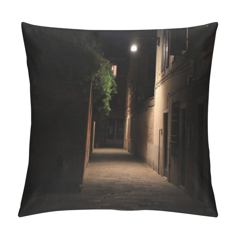 Personality  Historic Houses In Venice, Italy Pillow Covers