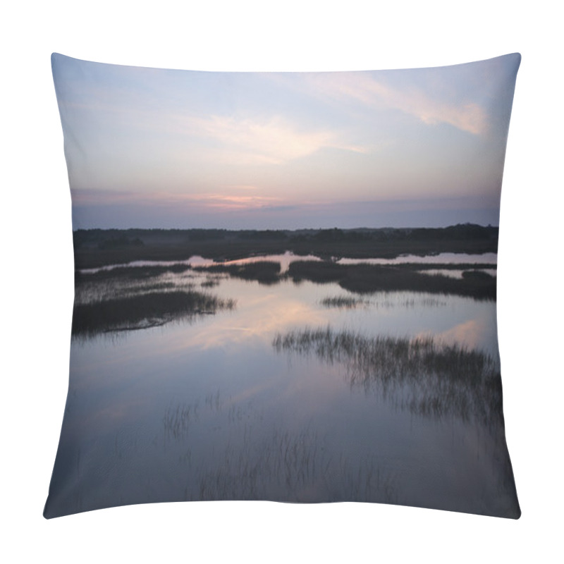 Personality  Sky Reflecting In Marsh. Pillow Covers