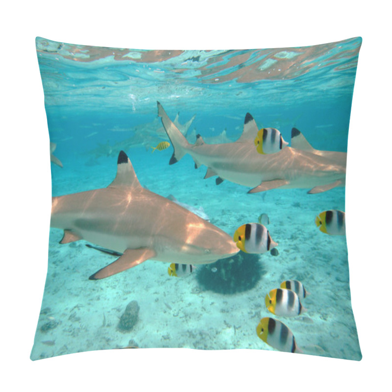 Personality  Scuba Diving With Sharks Pillow Covers