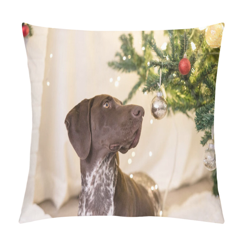 Personality  GSP Dog Looking Up At The Ornaments On A Christmas Tree Pillow Covers