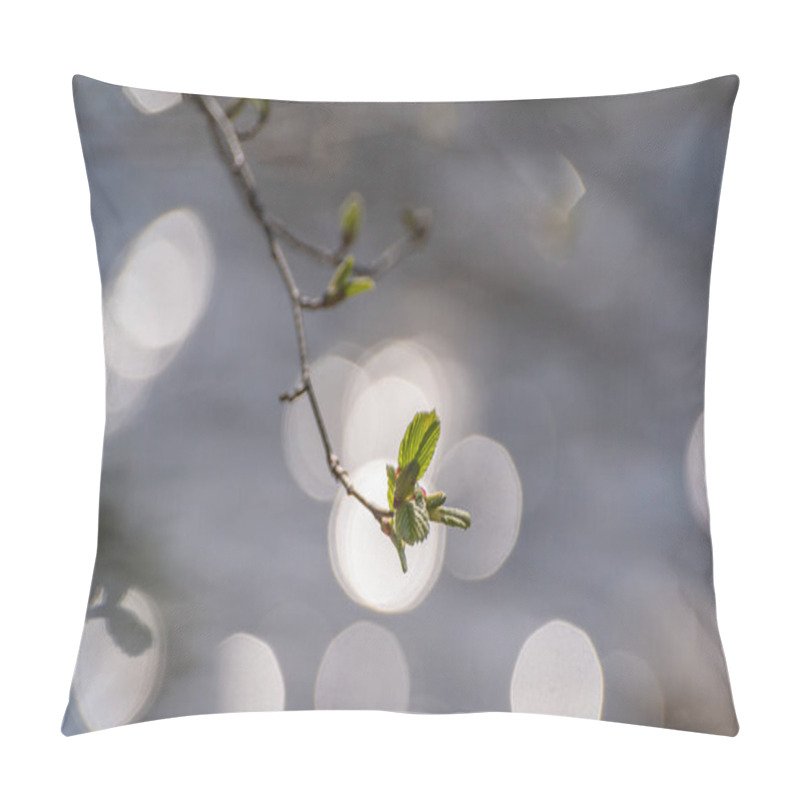 Personality  New Leaves On A Branch In A Mountain Forest Pillow Covers