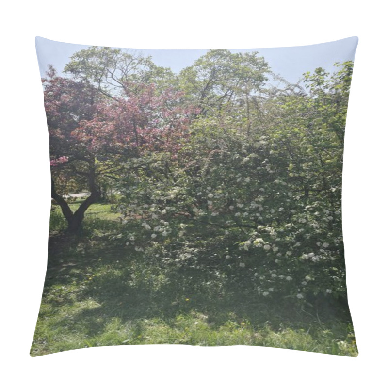 Personality  A Beautiful Collection Of Flowering Trees Fills The Park With Pink And White Blossoms. The Sun Shines Brightly On The Lush Greenery, Inviting Visitors To Enjoy The Vibrant Spring Day. Pillow Covers