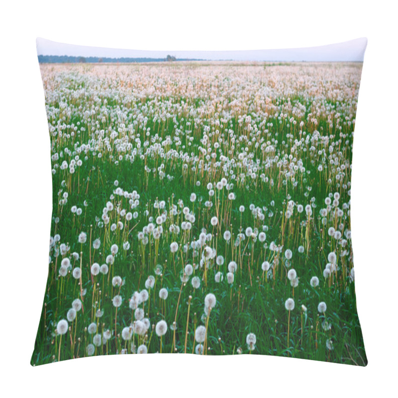 Personality  Field Of Dandelions Pillow Covers