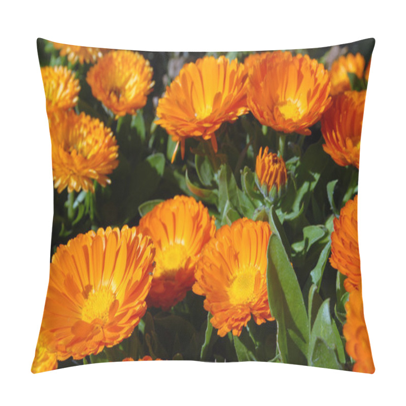 Personality  Orange Flowers. Pillow Covers