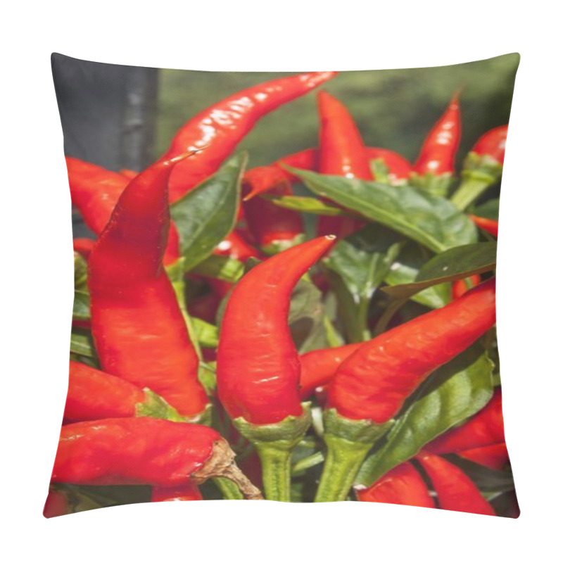 Personality  Domestic Cultivation Of Red Chilli Peppers In A Pot. Chilli Peppers In The Bushes On The Iron Gate. Ripe Red Hot Chili Peppers On A Tree. Pillow Covers