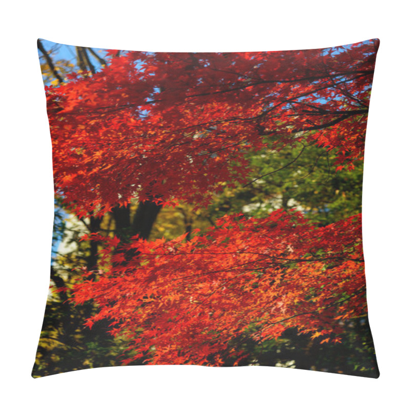 Personality  Koishikawa Korakuen Garden In Autumn In Tokyo Pillow Covers