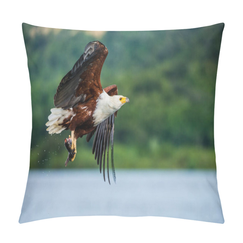 Personality  African Fish Eagle In Flight.  Pillow Covers