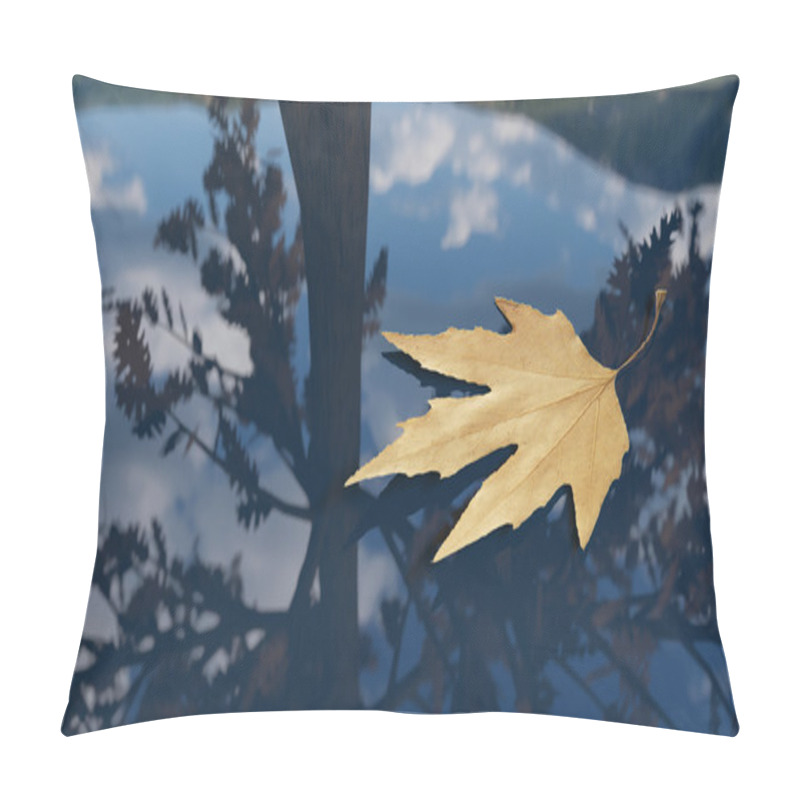 Personality  Autumn Leaf Floating On The Water Pillow Covers