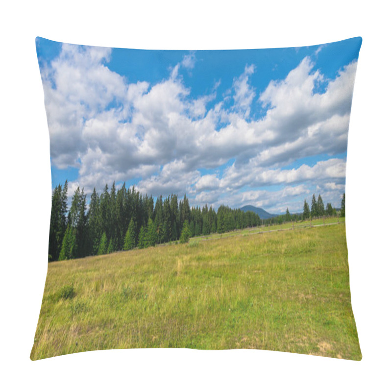 Personality  Countryside At Summertime, Nature Landscape. Pillow Covers