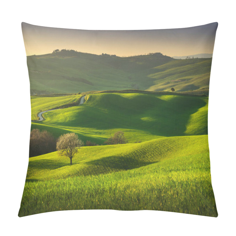 Personality  Springtime In Tuscany, Rolling Hills, Wheat And Tree At Sunset. Pienza, Italy Europe. Pillow Covers