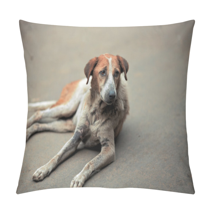 Personality  Sad Dog Pillow Covers