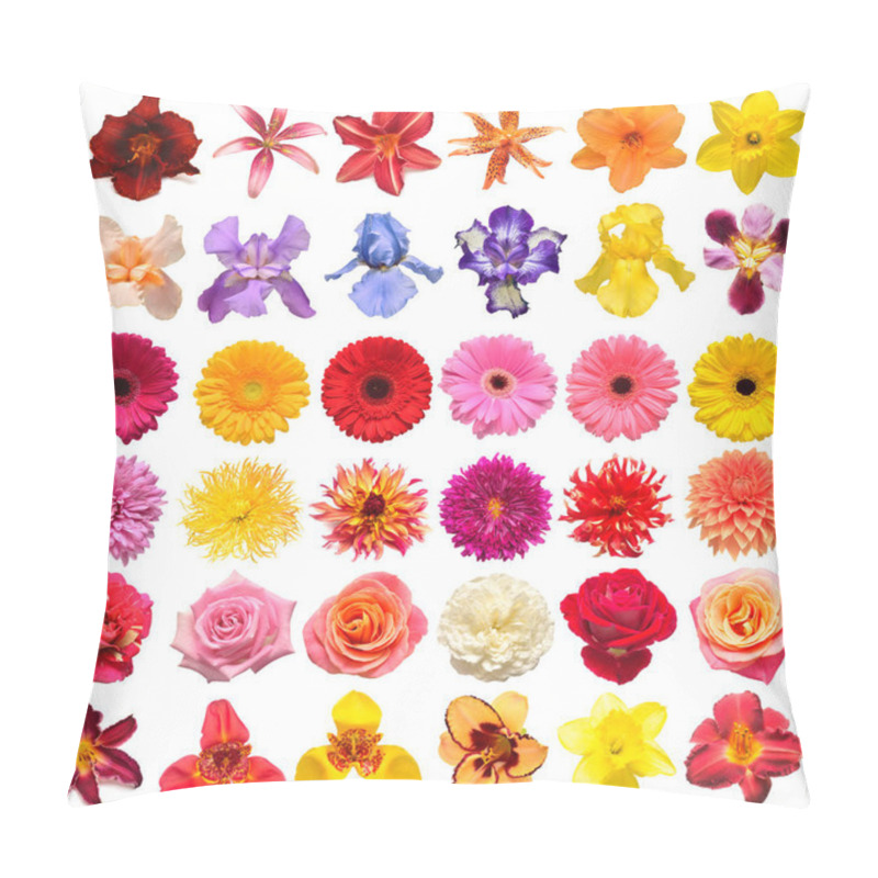 Personality  Collection Flowers Roses, Iris, Lily, Gerbera, Chrysanthemums, Dahlias, Narcissus Isolated On A White Background. Creative Spring Composition, Easter, Valentine's Day. Flat Lay, Top View Pillow Covers