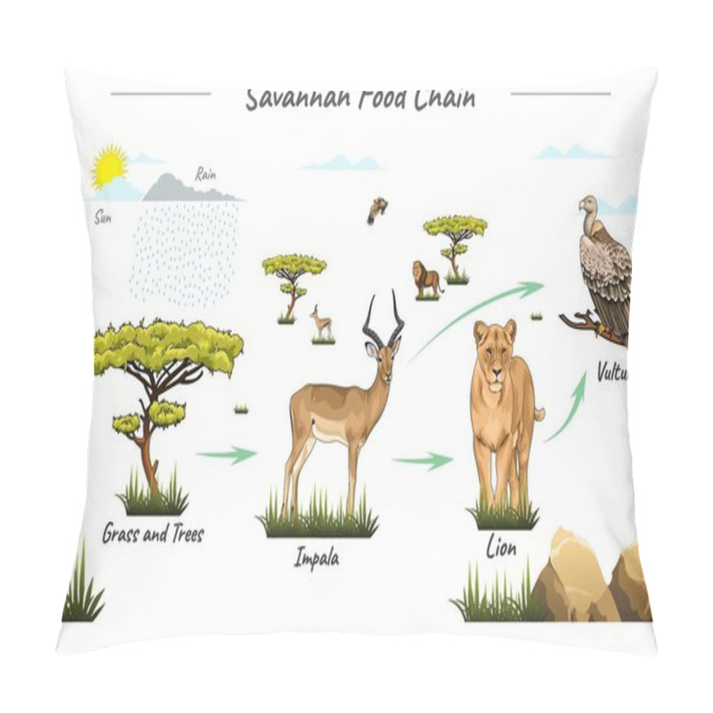 Personality  Vector Illustration Of Savanna Fauna.simple Food Chain In Savannah.ready To Use, Vector, Lion, Impala, Trees, Vulture. Pillow Covers