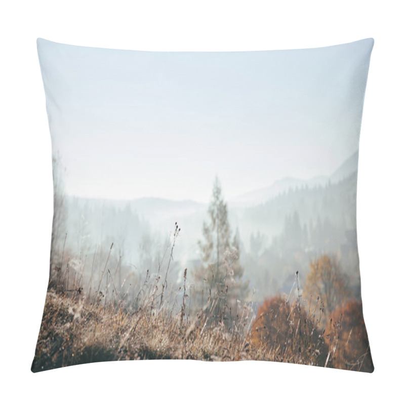 Personality  Close-up Shot Of Plants On Hill With Foggy Mountains On Background, Carpathians, Ukraine Pillow Covers