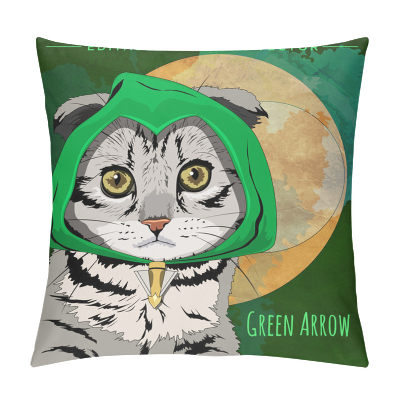 Personality  Cats Superheroes. Green Arrow Pillow Covers