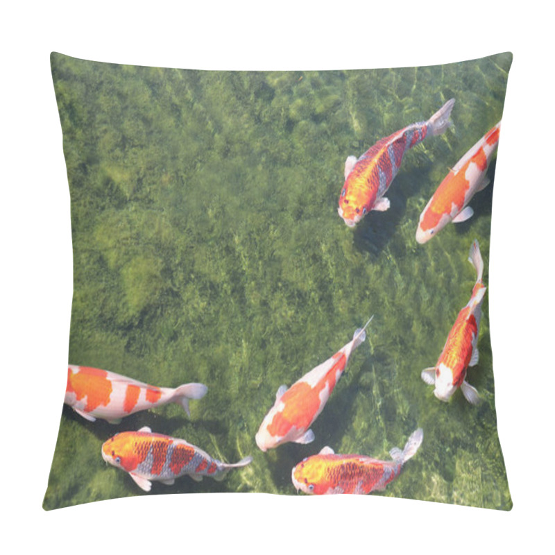 Personality  Seven Fancy Carps In Pond, Koishikawa Korakuen Garden, Okayama,  Pillow Covers