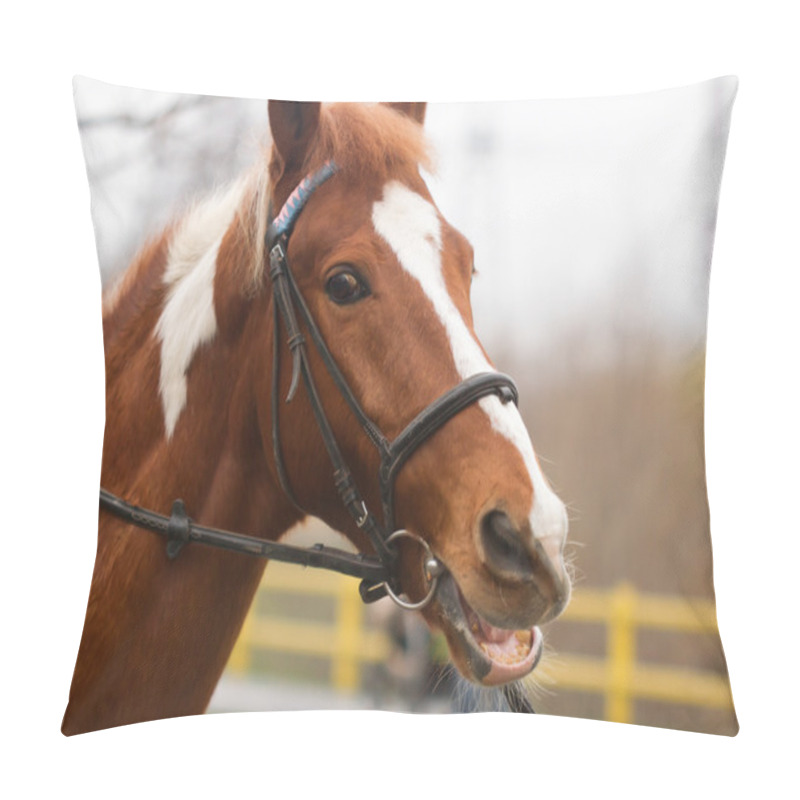 Personality  Horse Bridle Head Pillow Covers