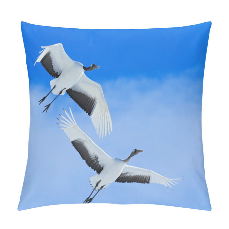 Personality  Flying White Birds Pillow Covers