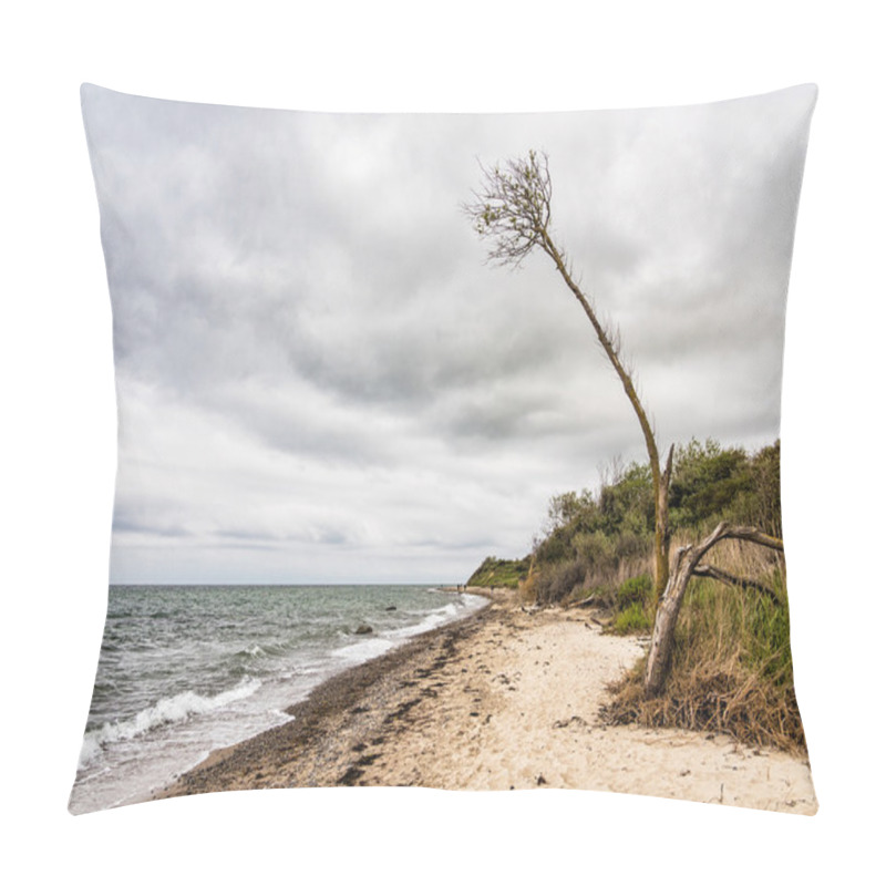 Personality  Tree On The Baltic Sea Coast Pillow Covers