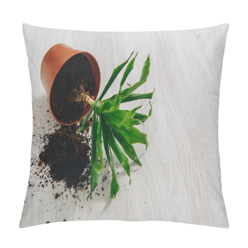 Personality  Photo Of Fallen Flower Pot With Green Plant Pillow Covers